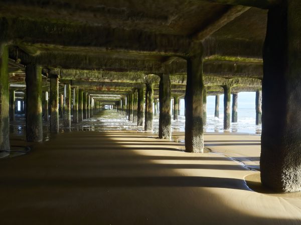 Concrete Pier Repair in New Port Richey